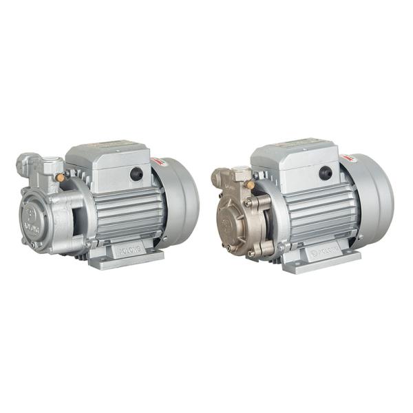 High Pressure Vortex Pump (Special Pump For Burner)