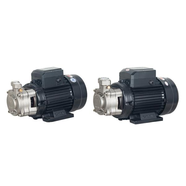 Multi-Stage Vortex Pump